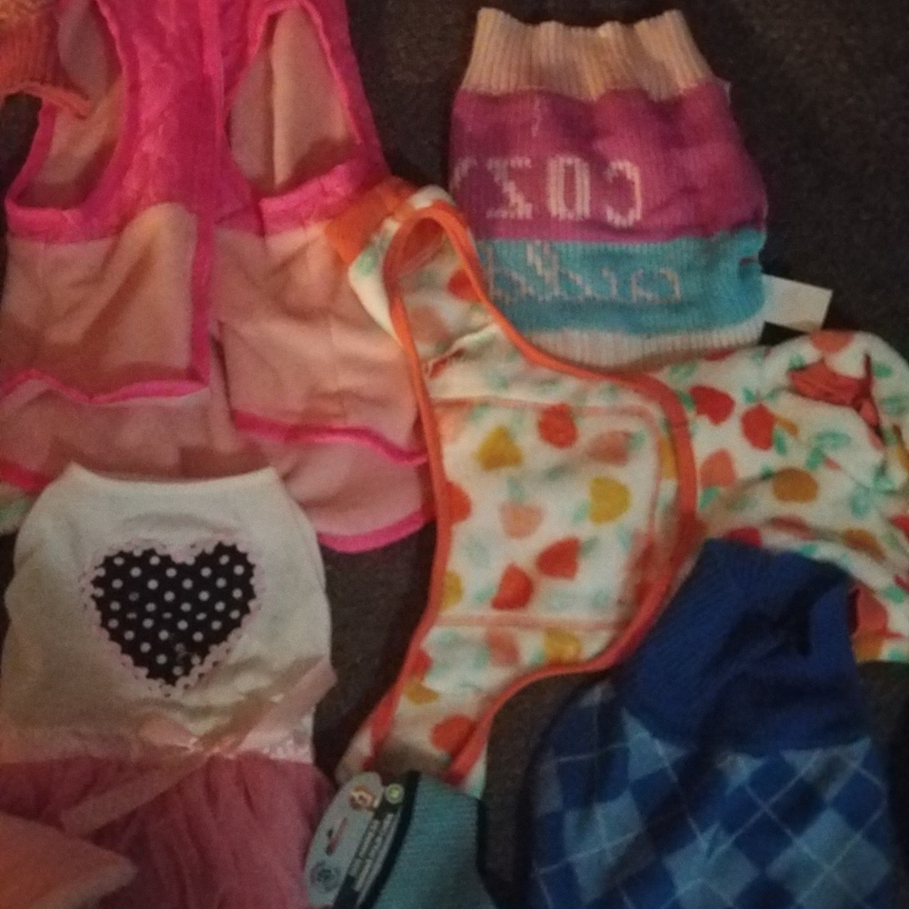 Dog clothes - Picture 5 of 8